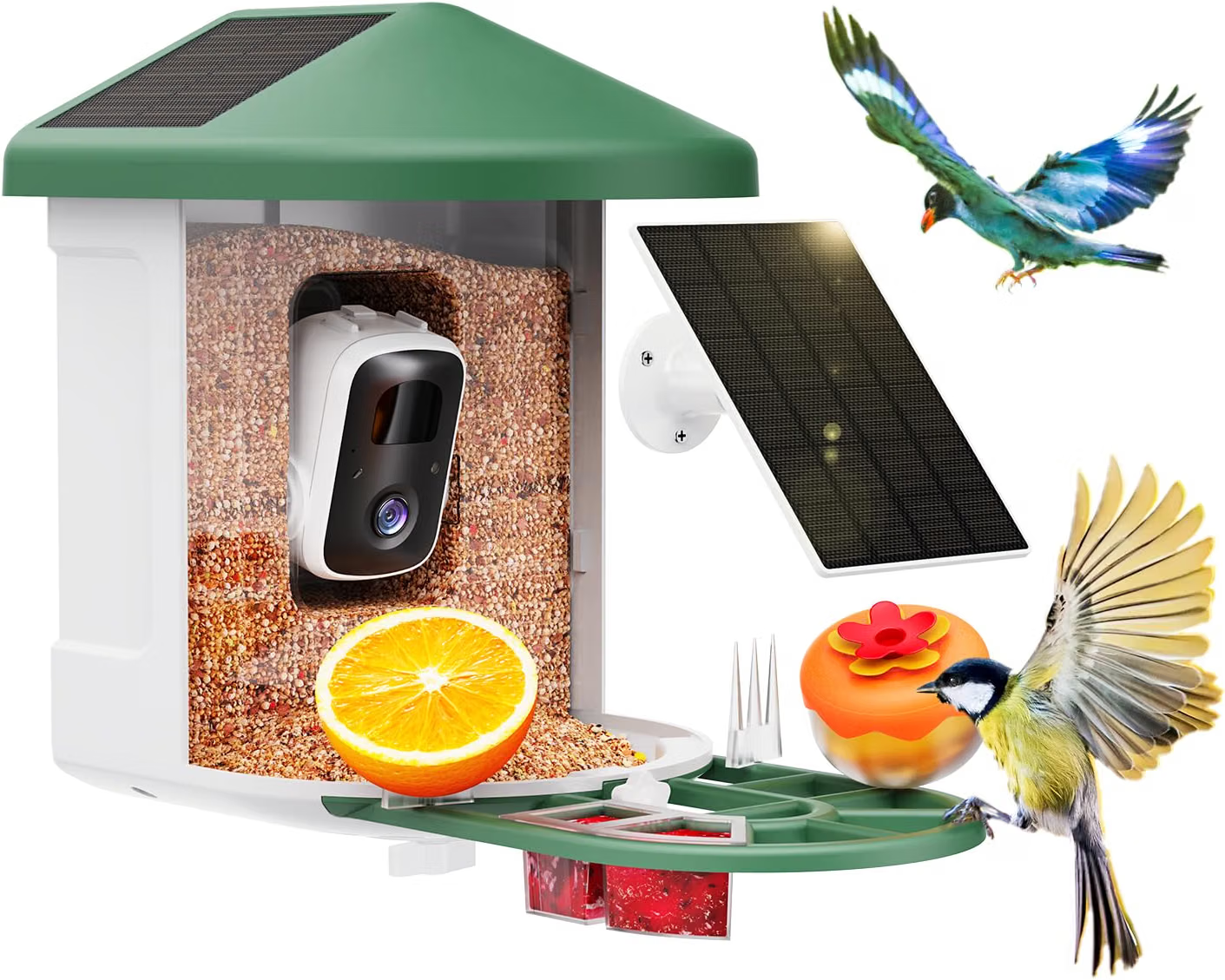 Birdnee smart bird feeder